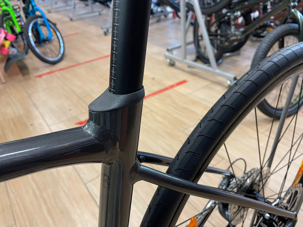 Giant contend 3 2019 review deals